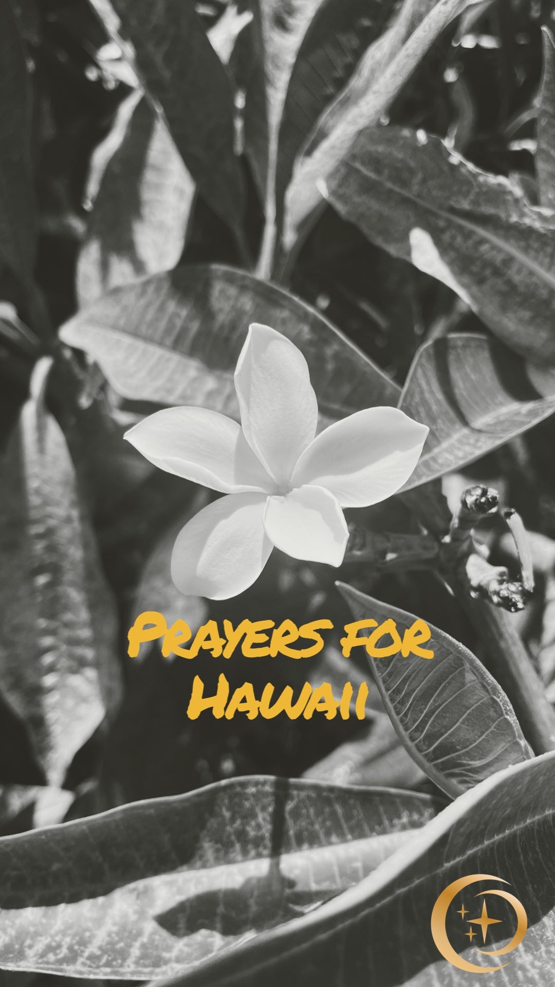 Pray for Hawaii