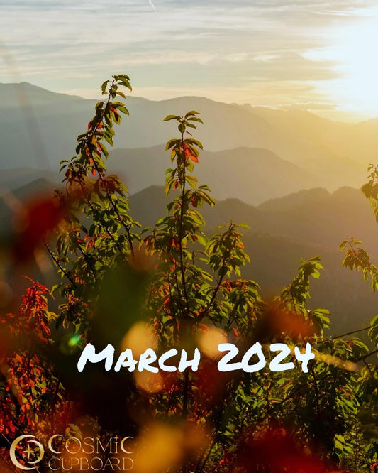 March 2024 Happenings