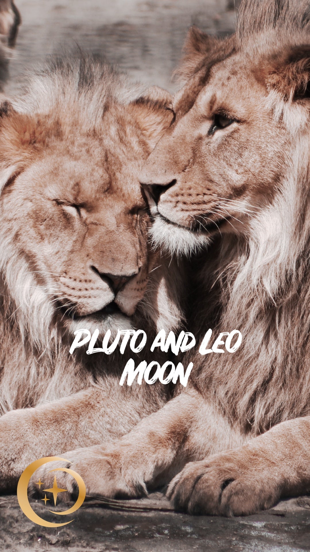 Pluto and Leo Oh My!